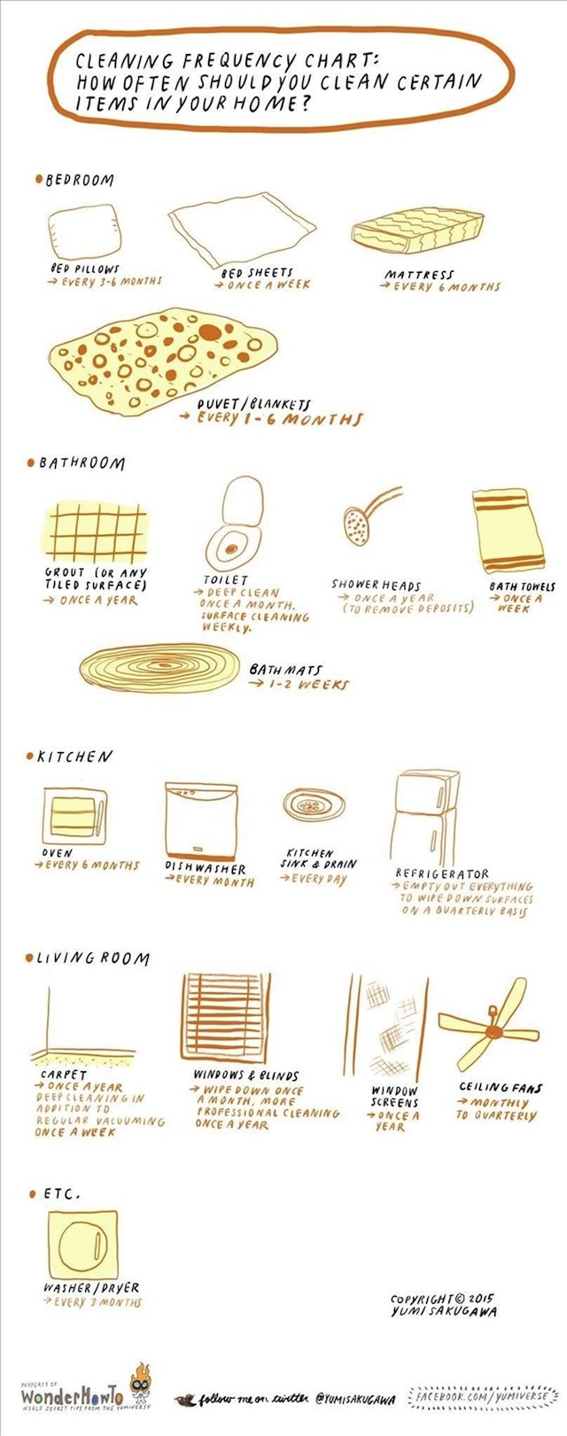 How to clean 9 everyday household items [infographic]