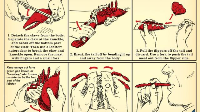 How To Eat A Lobster Guide