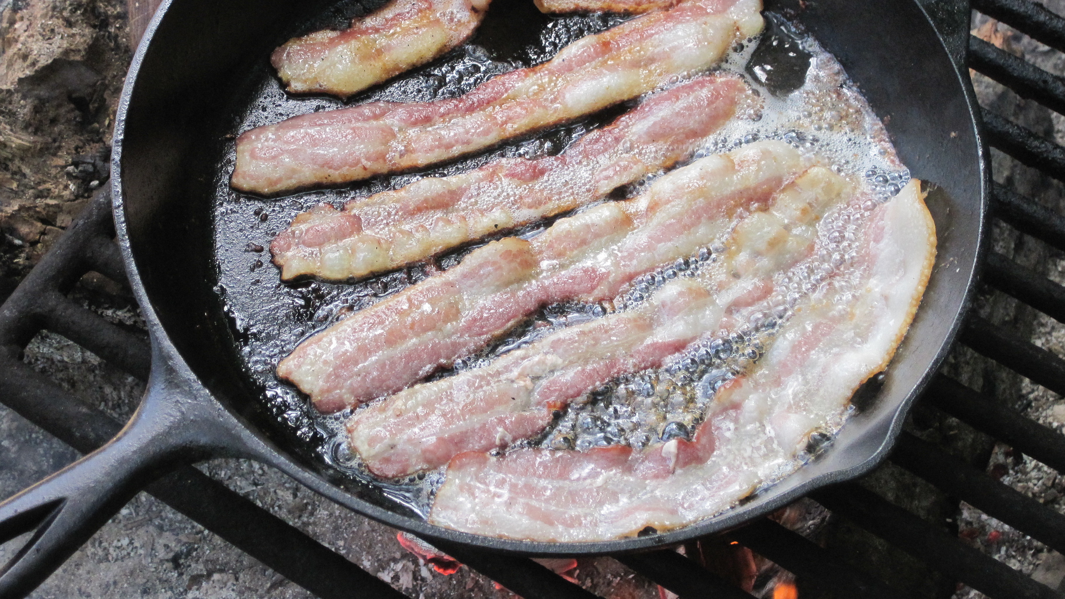 Bacon Grease Uses: A Home Cook's Guide to Bacon Fat