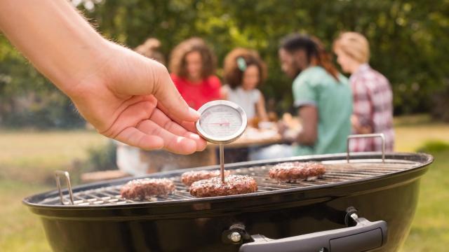 https://www.lifehacker.com.au/wp-content/uploads/2021/01/25/meat-thermometer.jpg?quality=75&w=640&h=360&crop=1