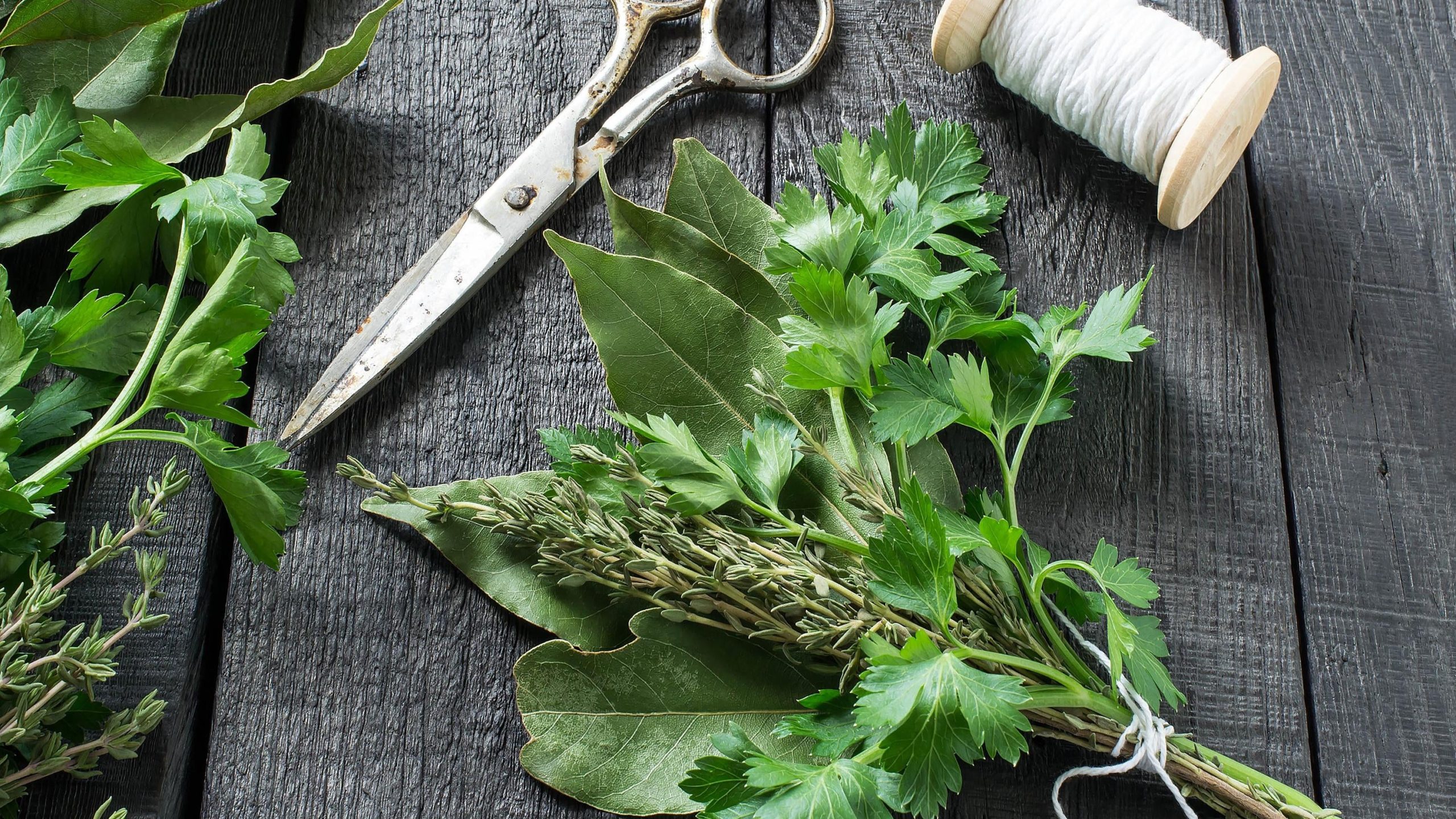 Bouillon Bouquet Garni