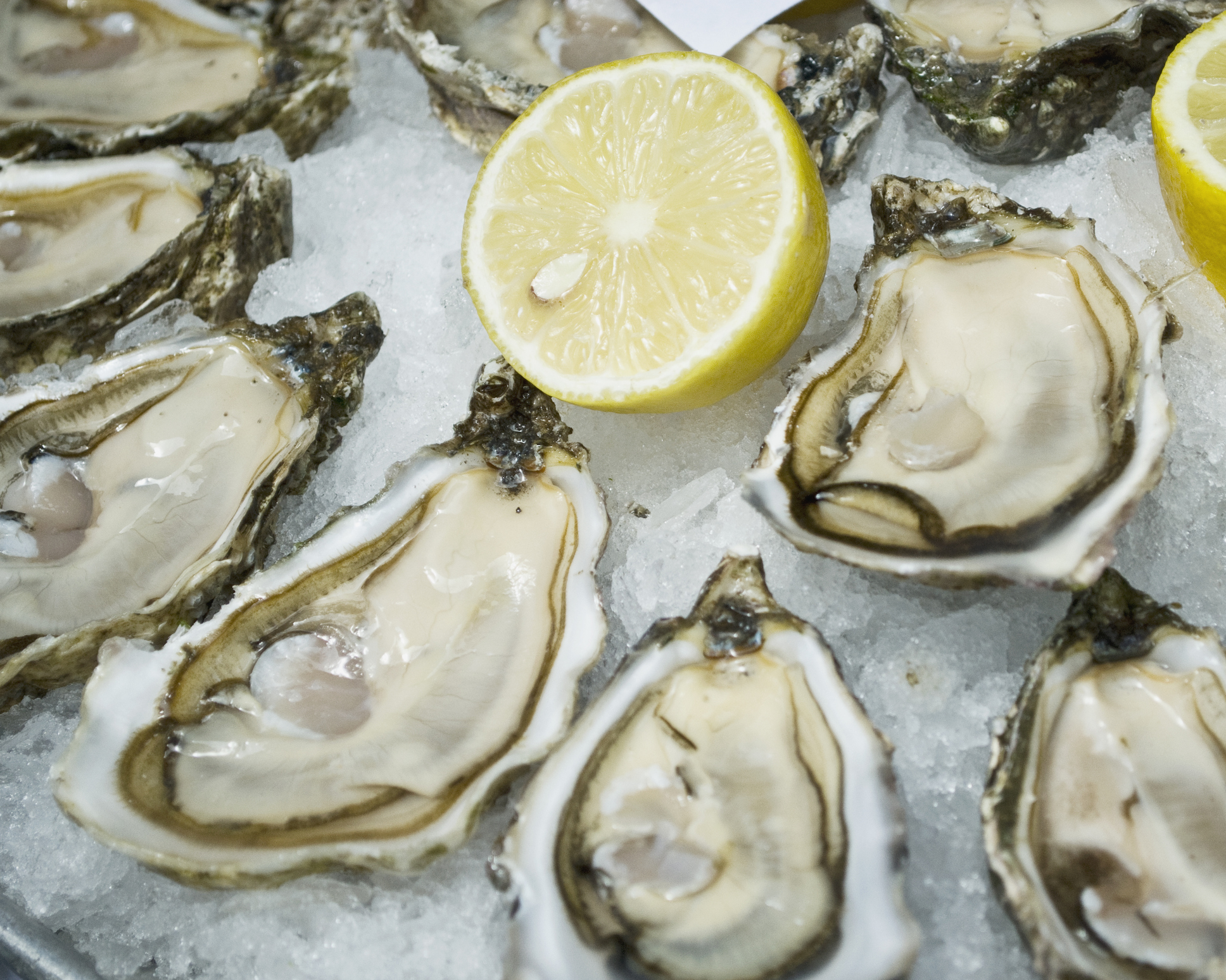 Oyster Shucking Gloves to Shuck Oysters Safely & Quickly Chainmail