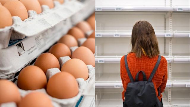 How to Store Eggs Correctly Amid an Australian Egg Shortage