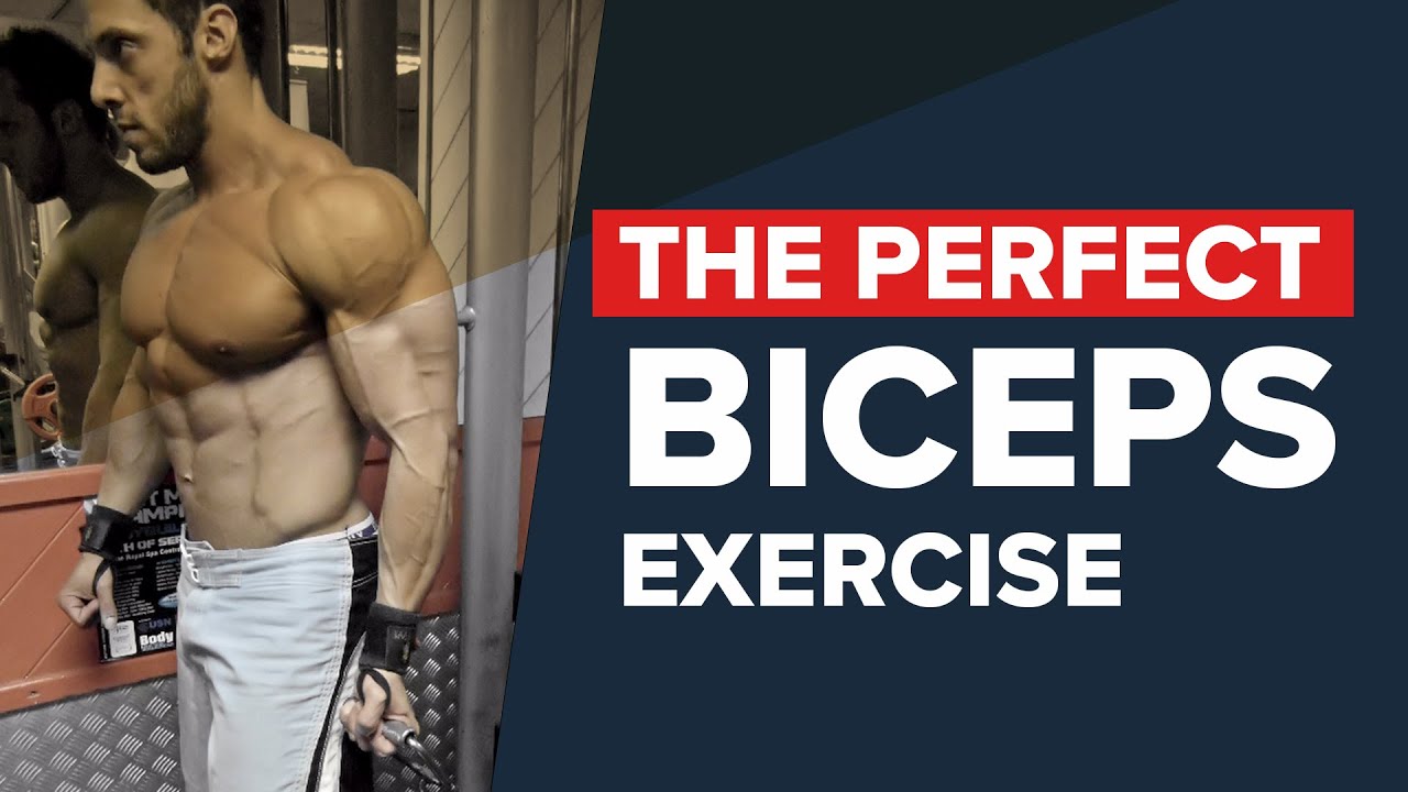 These Are the Best Bicep Exercises