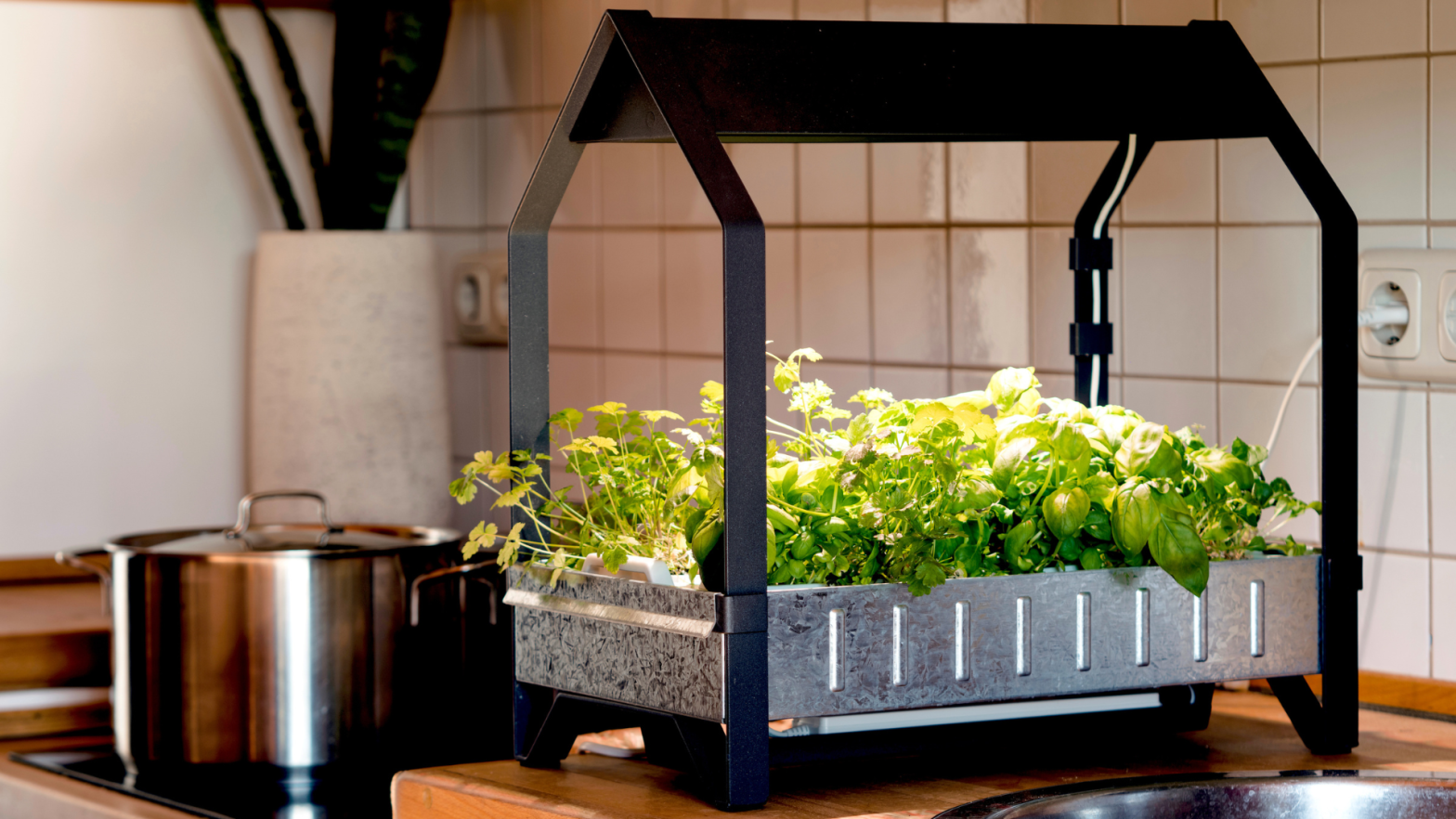 5 Ways to Get the Most Out of Your Indoor Garden