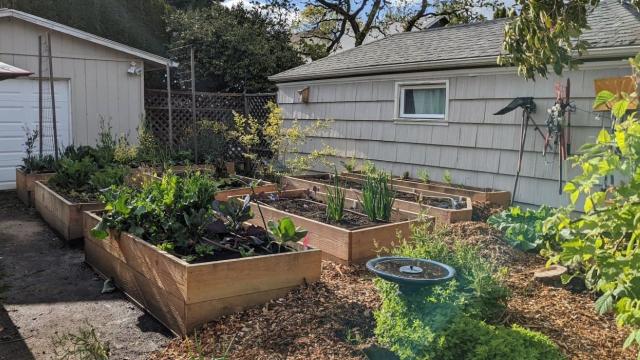 How to Build a Raised Garden Bed That Will Last