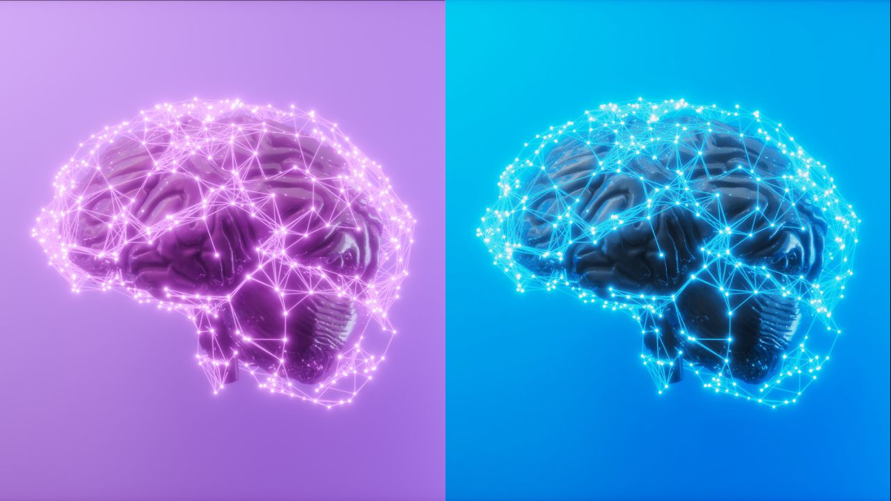 What’s the Difference Between Alzheimer’s And Dementia?
