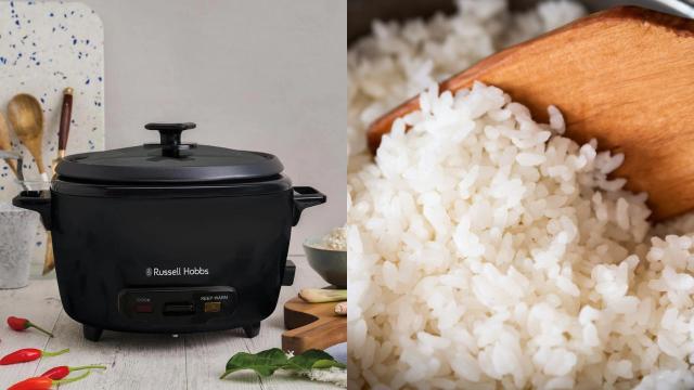 The Best Rice Cookers For When You’re too Lazy to Spend Time Cooking