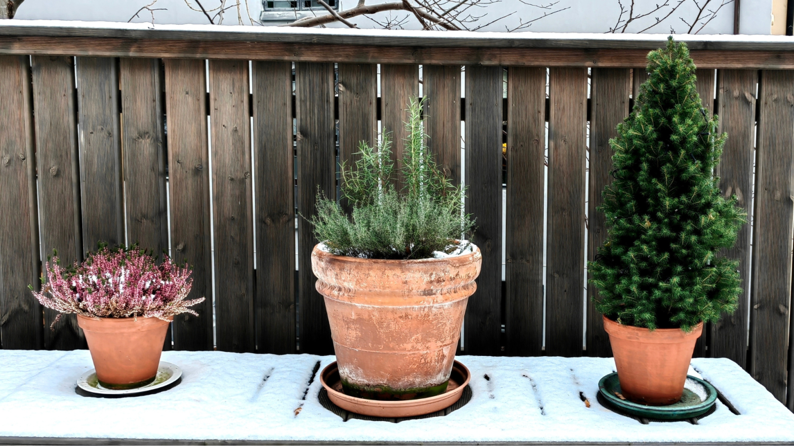 How to Keep Ceramic Flower Pots From Cracking in the Winter