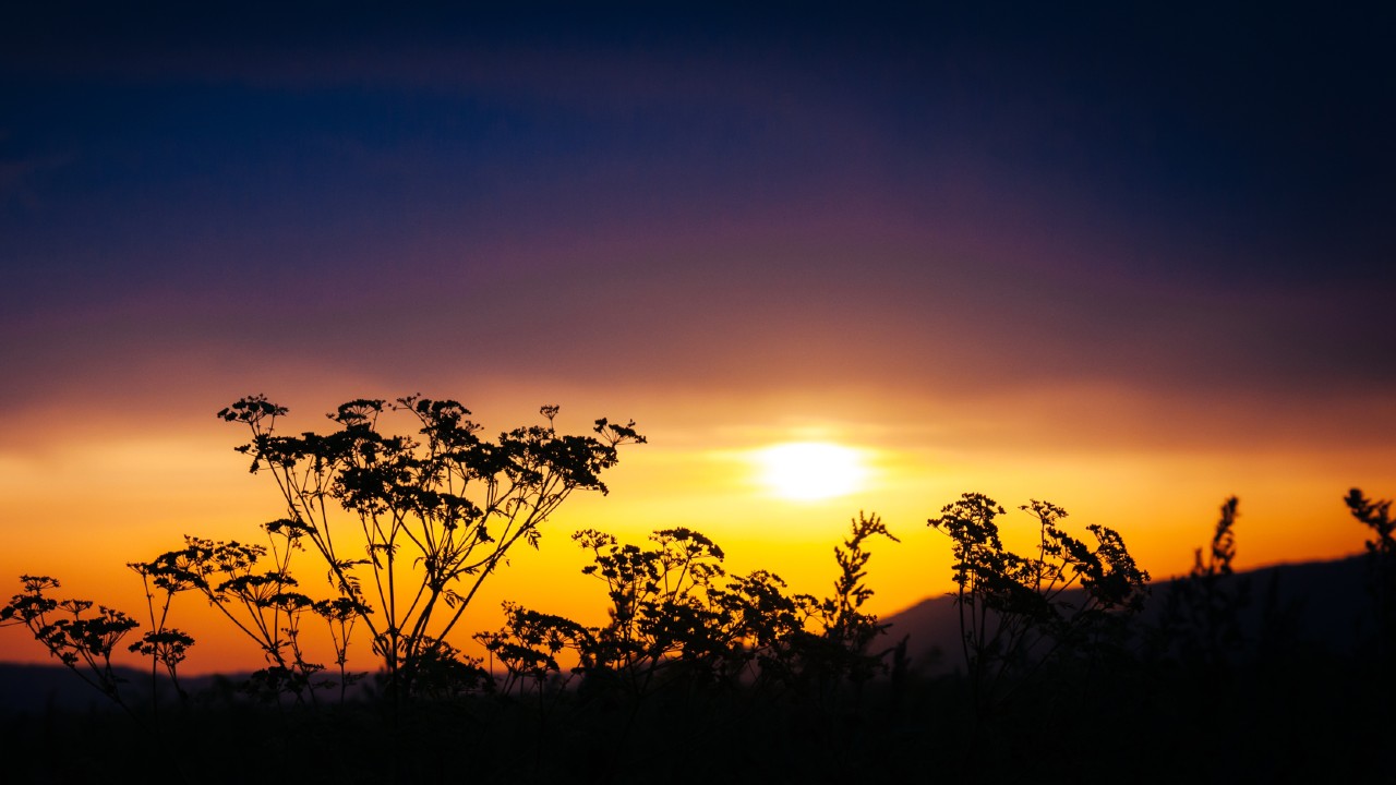 Winter Solstice Australia 2023 When Does it Fall This Year?