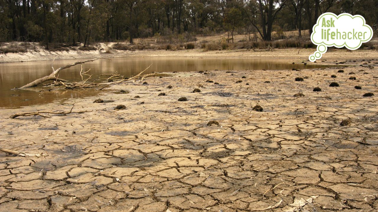 Ask LH What Is El Niño and How Will It Impact Australia? TrendRadars