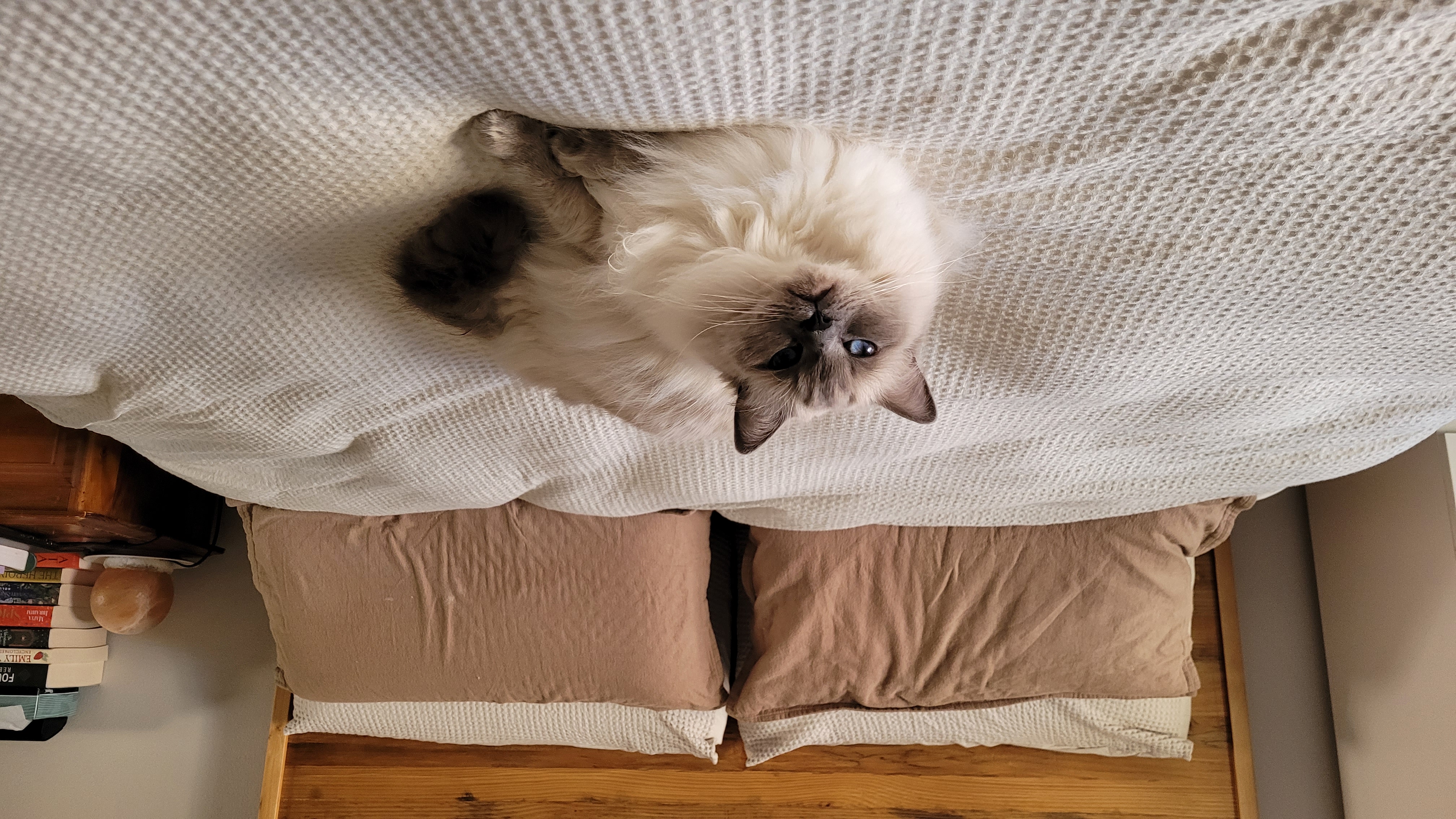 Emma Sleep Zero Gravity mattress